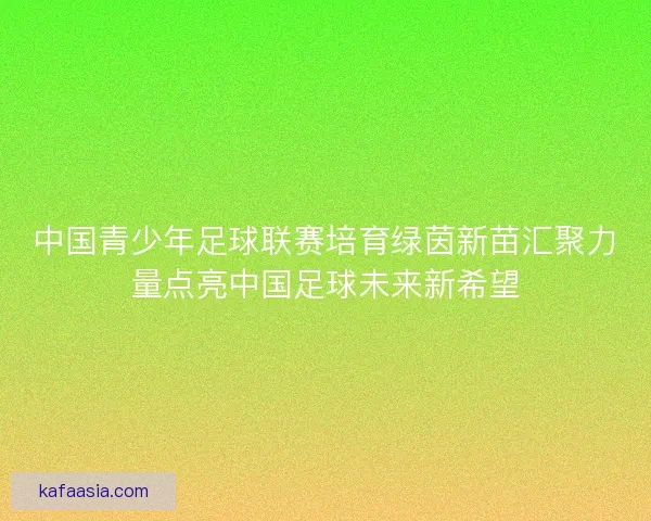 中国青少年足球联赛培育绿茵新苗汇聚力量点亮中国足球未来新希望 中国青少年足球联赛培育绿茵新苗汇聚力量点亮中国足球未来新希望